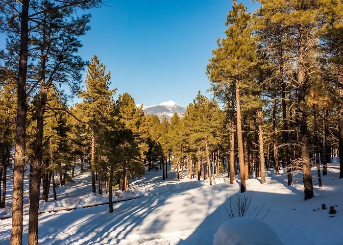 Coyote Pass Holiday home *